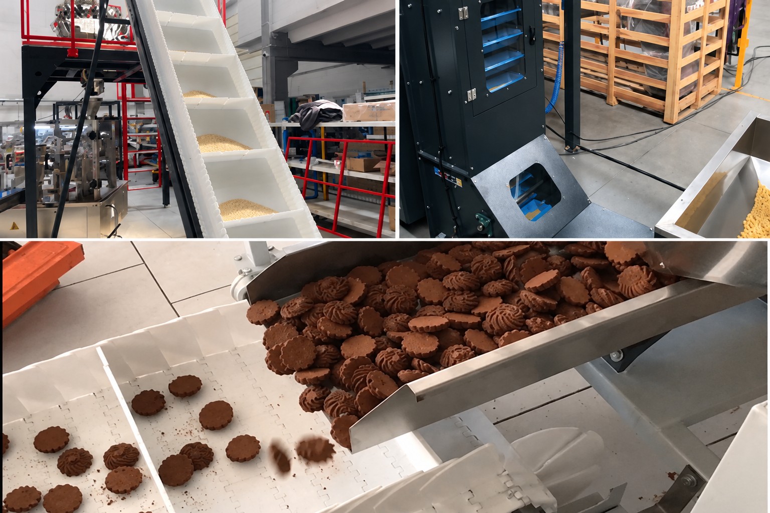 Sanitary Conveyor Design: Best Practices for FDA and 3-A Compliance